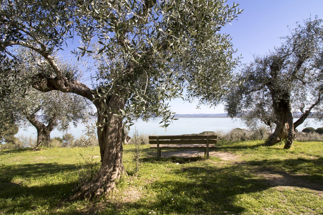 Bed and Breakfast Baldovino Di Monte Монте-Сан-Савино Экстерьер фото